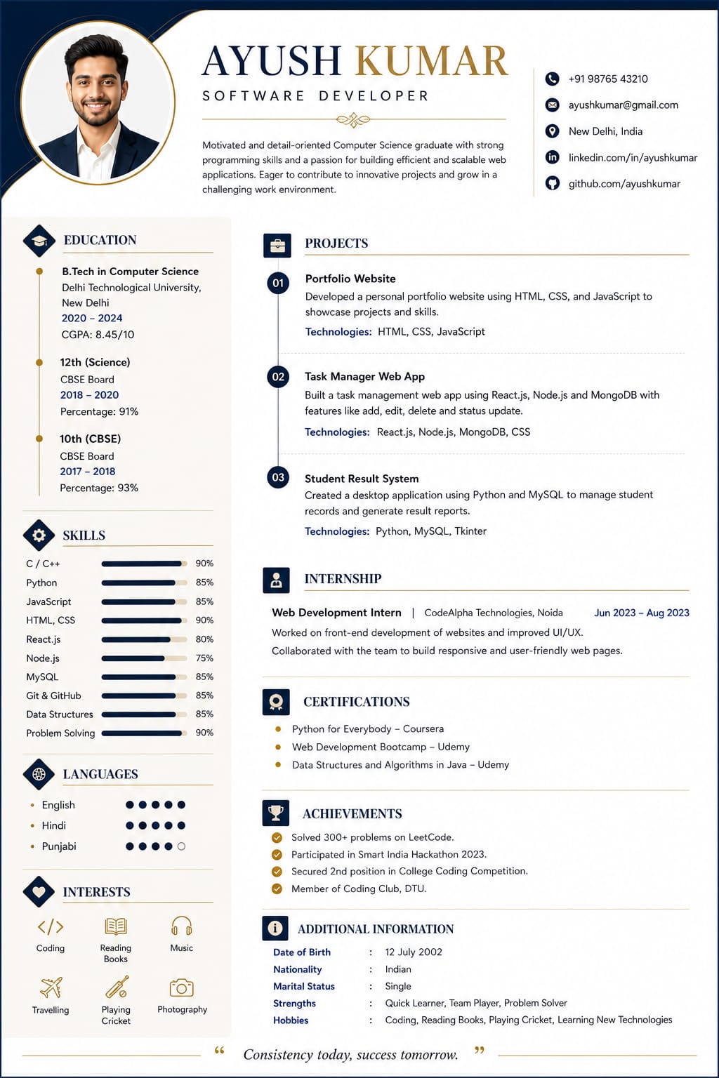 Classic Pro Resume Template